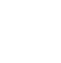 bug support icon